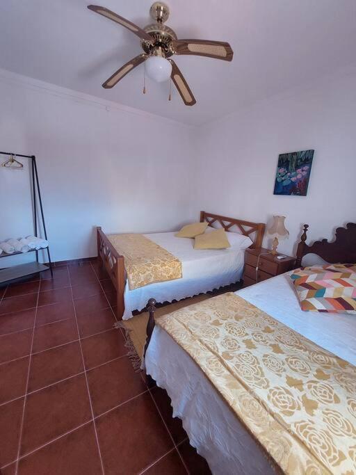 Casa Amarela - Praias Alqueva Povoa de Sao Miguel Kültér fotó